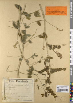 LE 01053266