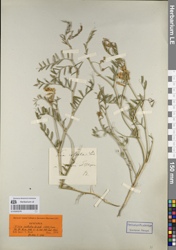 LE 01053270