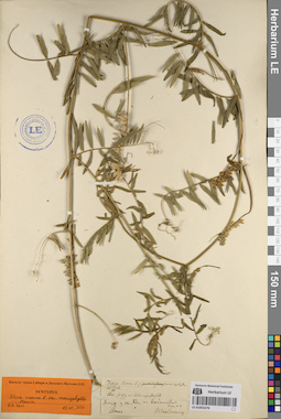 LE 01053276