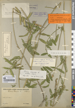 LE 01053281