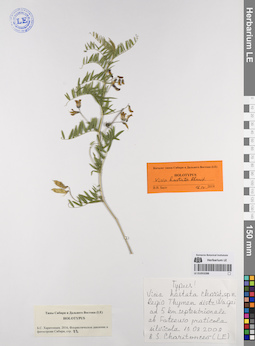 LE 01053288
