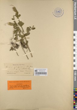 LE 01053290