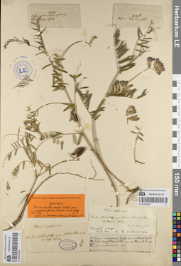 LE 01053303