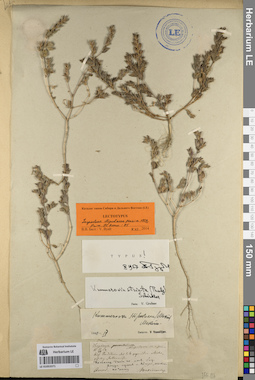 LE 01053371