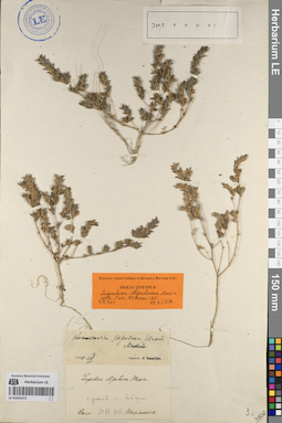 LE 01053372
