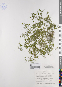 LE 01057440