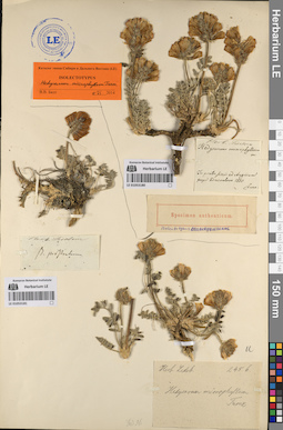 LE 01053180