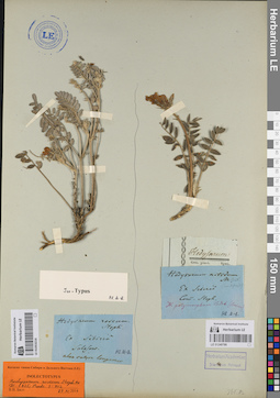 LE 01053216