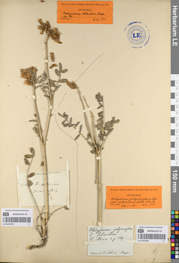LE 01053955