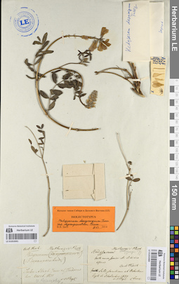 LE 01053991