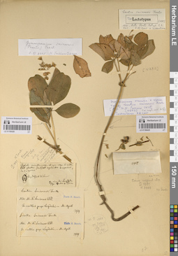 LE 01180425