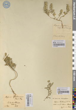 LE 01188456