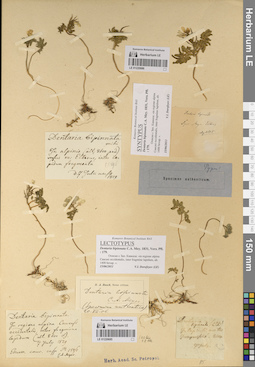 LE 01220685