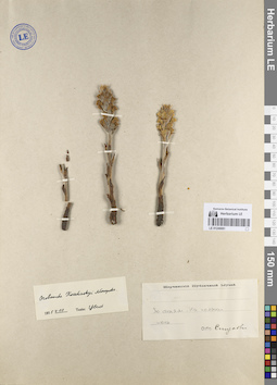 LE 01249081
