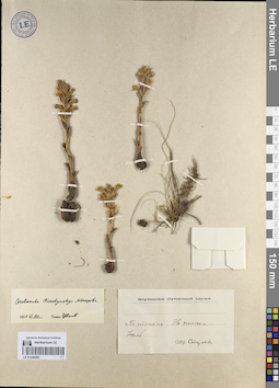 LE 01249082