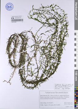 LE 01121120