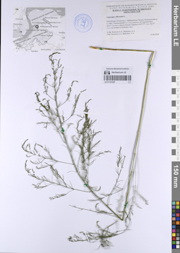 LE 01121207