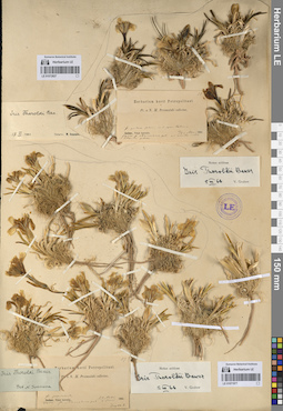 LE 01071977