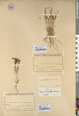 LE 01071990