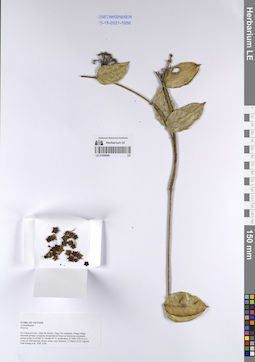 LE 01058698