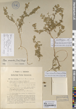 LE 01064275
