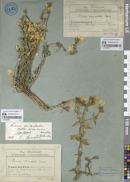 LE 01064376