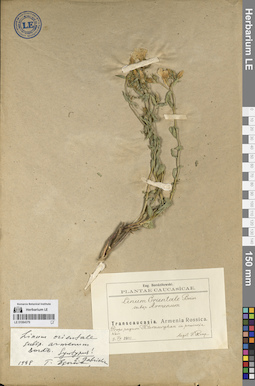 LE 01064379