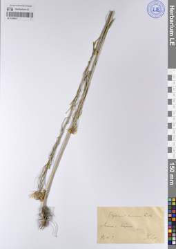 LE 01208937