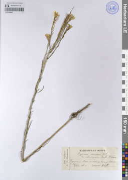 LE 01208945