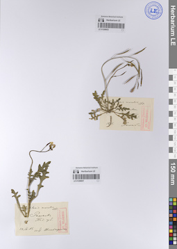 LE 01208953