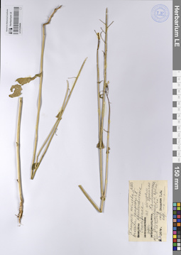 LE 01228406