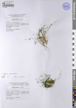 LE 01246645