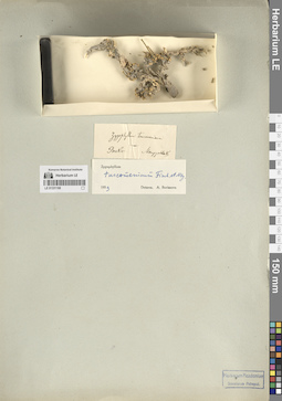 LE 01331168