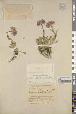 LE 01247603