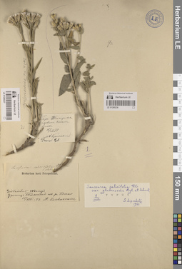 LE 01260238