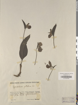 LE 01031561