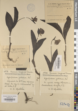 LE 01031563