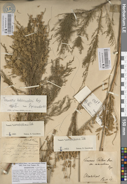 LE 01182289