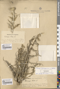 LE 01260924