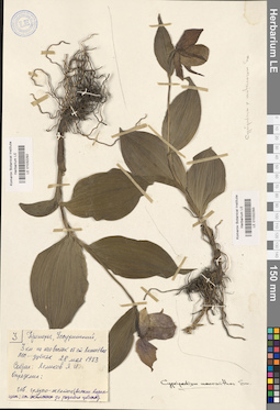 LE 01032292
