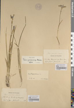 LE 01241944