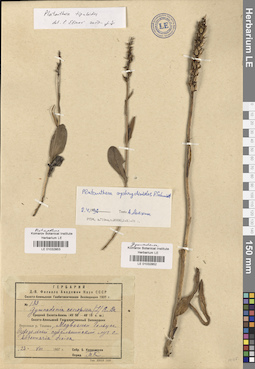 LE 01032853
