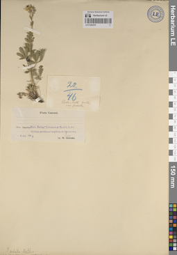 LE 01262519