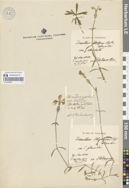 LE 01261894