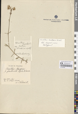 LE 01261895