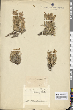 LE 01261901
