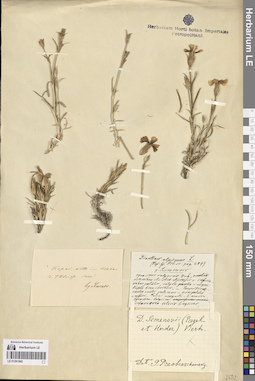 LE 01261902