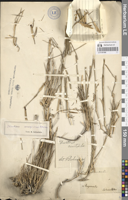 LE 01261906