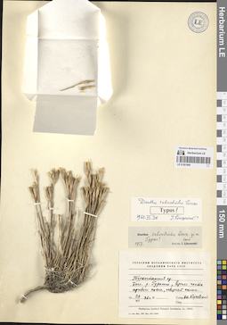 LE 01261908