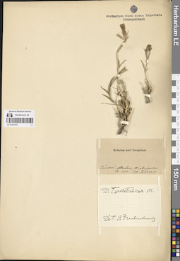 LE 01261918